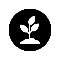 Emerging-Executive Seat - 3 months recurring